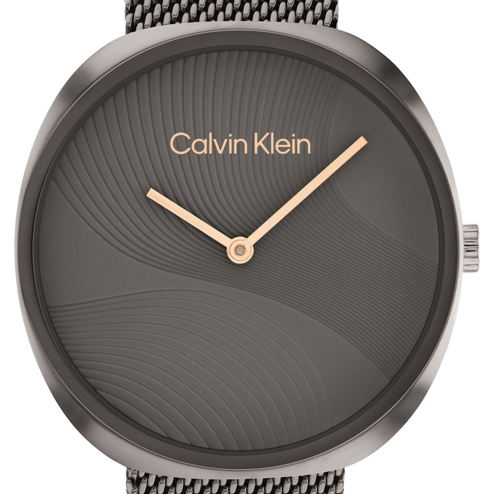 Relógio Calvin Klein Feminino Aço Cinza 25200248